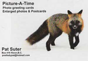 Picture-A-Time