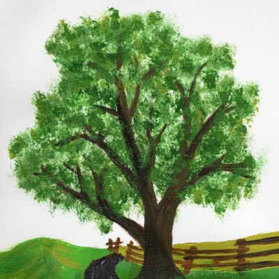 Myrvold Acres Workshop