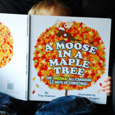 A Moose in a Maple Tree