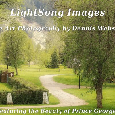 LightSong Images