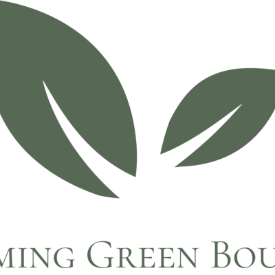 Dreaming Green Boutique